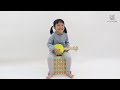 Dėlionė PlanToys lavinimo priemonė - muzikos instrumentas Bandžolėlė (PT6436)