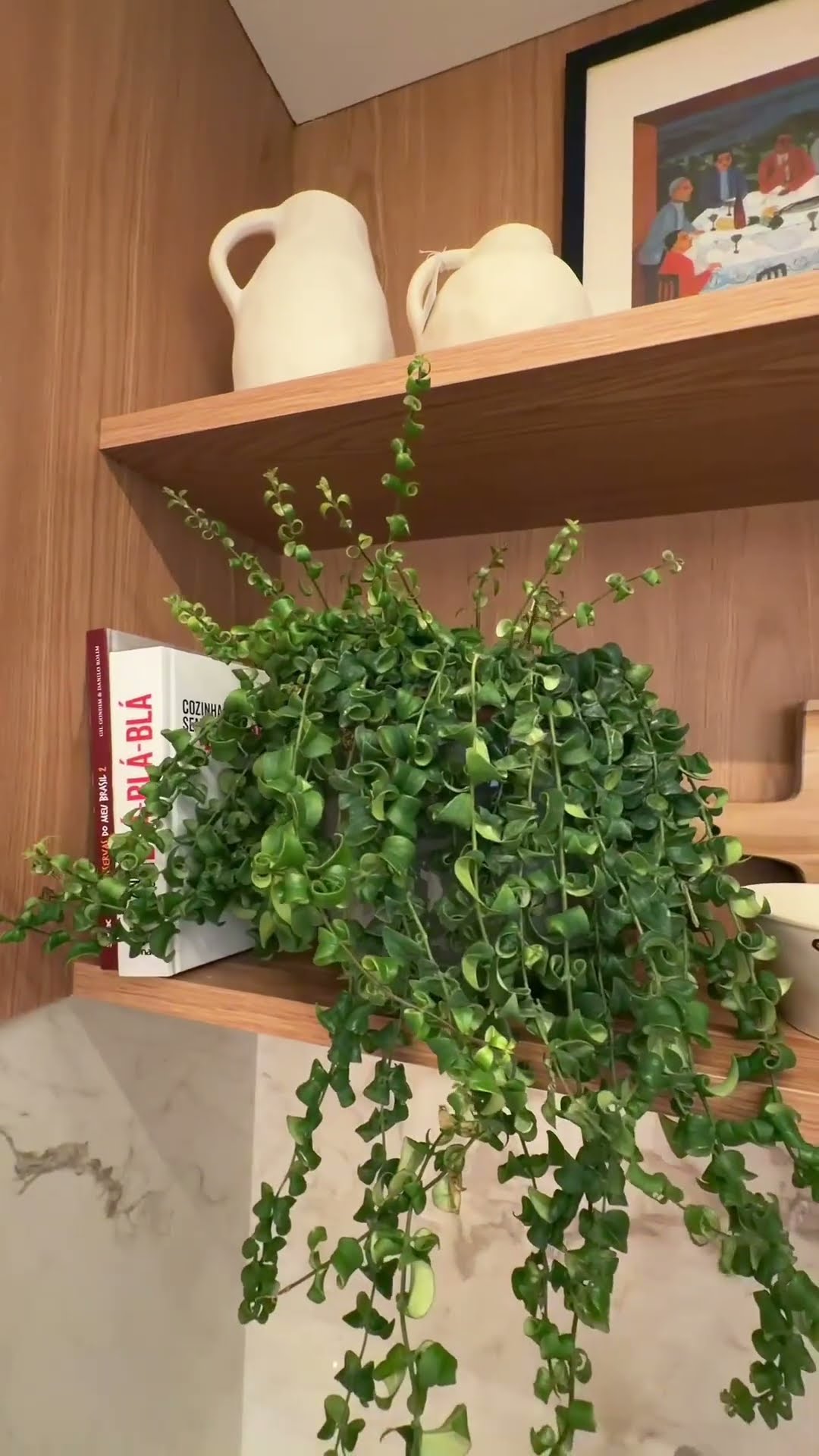 Abertura oficial do decorado ópera São Caetano