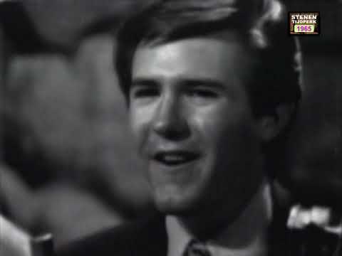 1965 Bobby Fuller four  -  I fought the law