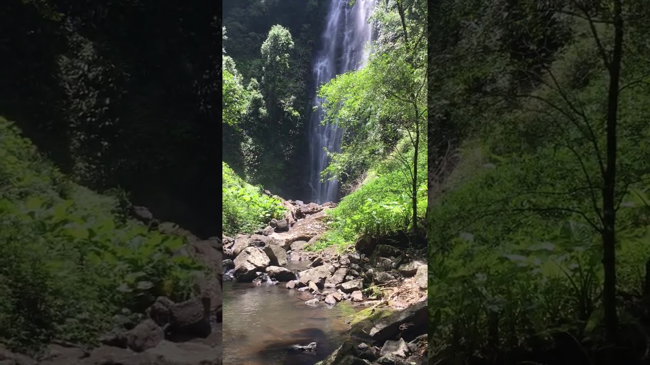 YouTube Short thumbnail