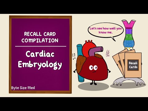 Cardiac Embryology Recall Card Compilation | Development of the heart| Byte Size Med Recall Cards