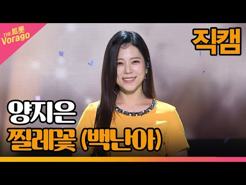 [세로 직캠]양지은¸ 찔레꽃(백난아)| 트롯쇼 220910