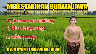 Download lagu MELESTARIKAN BUDAYA JAWA UYON UYON JINEMAN ULER KAMBANG BLITAR BANYUWANGI SEKAR POCONG  mp3