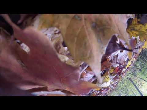 Tour of Kincardine 2020