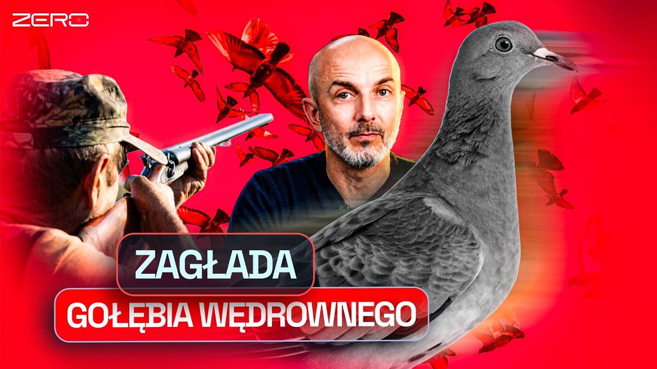 DLACZEGO WYGINĄŁ NAJLICZNIEJSZY GATUNEK? | NAUKOWE ZERO