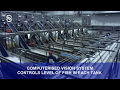 eskja complete automatic pelagic processing plant full video