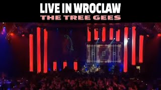 THE TREE GEES (BEE GEES TRIBUTE) - Live in Wroclaw 2013