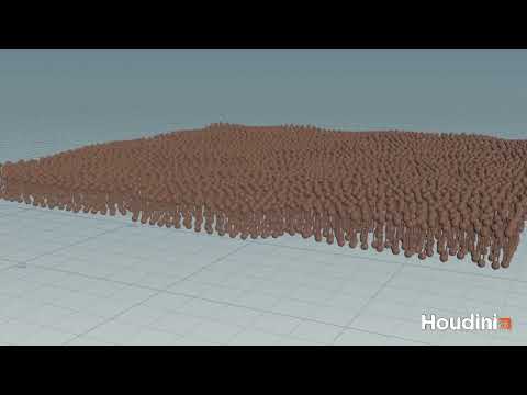Houdini Cell Membrane - Test