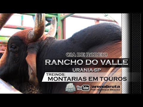 MONTARIAS EM TOUROS | Mais um dia de Treino na Cia Rancho Do Valle