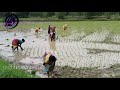 Jhiri Hiri Chadoy Hasure New Santali Video 2020