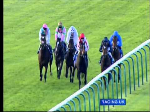 Dubai Dewhurst Stakes, Newmarket, 2010