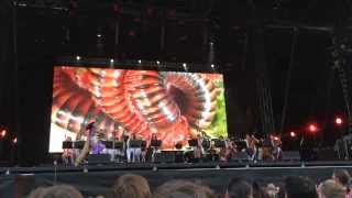 Björk - Bachelorette at Pohoda 2015