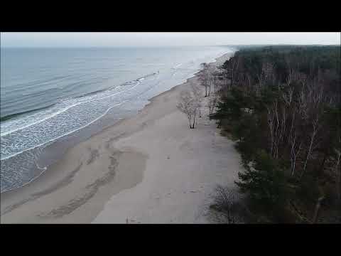 Wyspa Sobieszewska "Ptasi Raj"