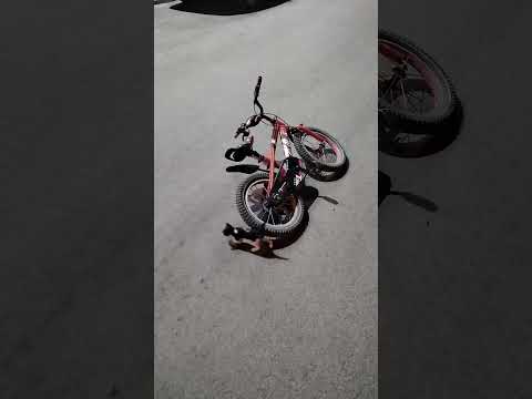 Javeria being scared of cats