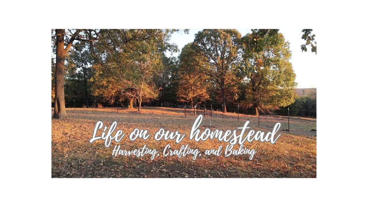 Enjoying a simple life on the homestead [Harvesting, Crafting and Baking]