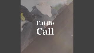 Sometimes I Feel Like A Motherless Child