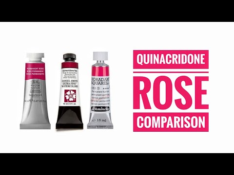 Quinacridone Rose PV19 Watercolor Comparison - Daniel Smith - Winsor & Newton - Lukas - Schmincke
