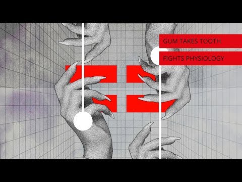 Gum Takes Tooth - Fights Physiology (Radio Edit) Track