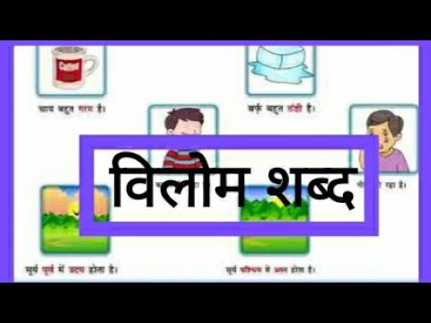विलोम शब्द। आओ हिंदी सीखें। Vilom shabd. Aao Hindi Seekhen. Video