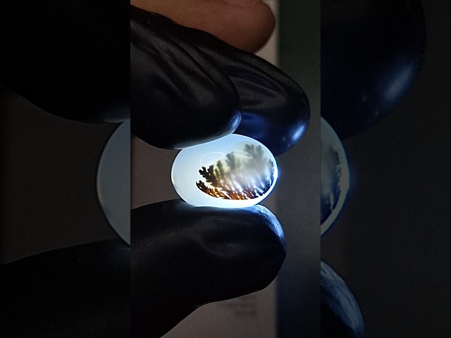 حجر عقيق شجري طبيعي مفحوص و موثق بشهادة مختبر