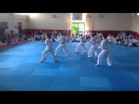 I.T.A Taekwondo summercamp Waterford