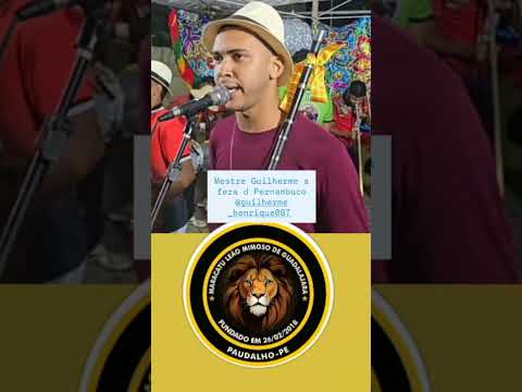 Mestre Guilherme a fera d Pernambuco( samba)  ensaio MBS Gavião da mata Glória do Goitá 18/11/25