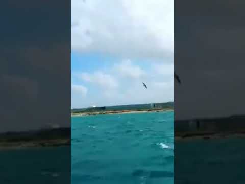 Sol Playa y Arena Punto Fijo Edo Falcón Venezuela