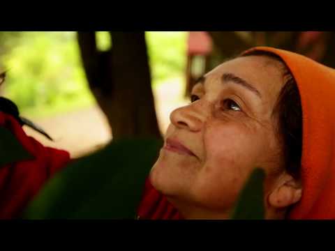 Maqui Berry - The Treasure of Patagonia