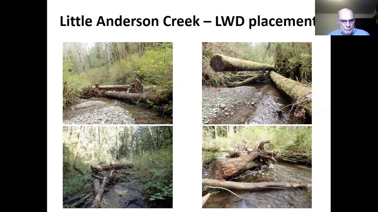 Hood Canal Intensively Monitored Watershed - Anderson et al.