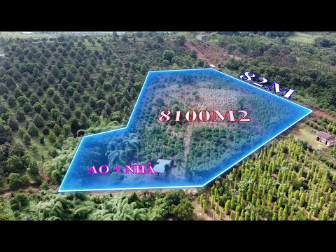 Bán đất rẫy Trường Xuân, ĐăkSong, 8100m2, 82m đường lớn, Nhà, ao to, giá 1 tỷ