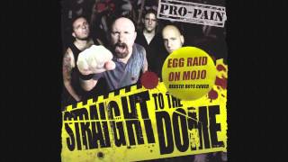 Pro Pain - Egg Raid On Mojo (Beastie Boys Cover)