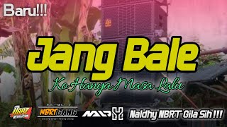 Download lagu JANG KO BALE _ Naldhy Nbrt Remix🌴🌴 mp3