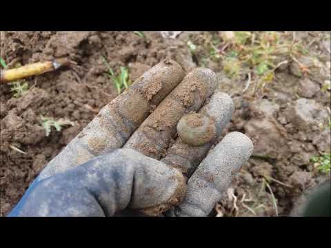Der Bayern Sondler Teil 28 - Erstes Sondeln mit angenehmen Temperaturen