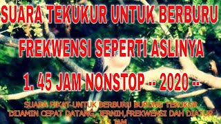 Download lagu SUARA PIKAT BURUNG TEKUKUR PALING AMPUH - PASTI DATANG - TERBARU 2020 mp3