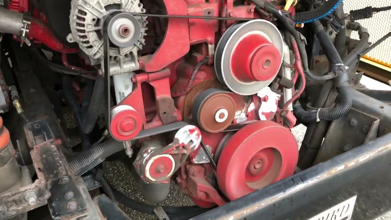 2010 Blue Bird School/Transit Bus -78 Passenger (ID #30456) (E4