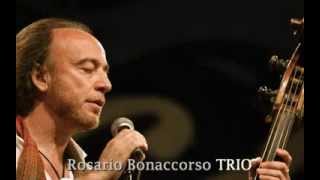 ROSARIO BONACCORSO TRIO - 