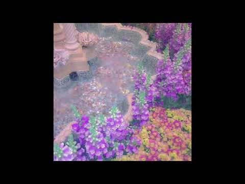 old lacy bed - wistaria