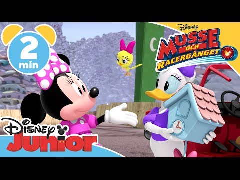 Musse och Racergänget | Cuckoo-Locas gökur - Disney Junior Sverige