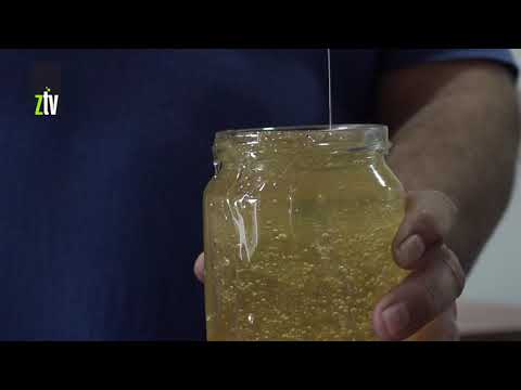 Pčelari iz okoline Zaječara