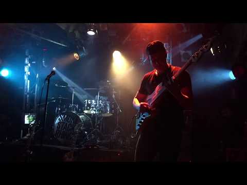 Les Claypool (Primus) - The Awakening [Live bass cover]