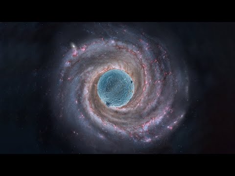 A Tale of Time and Space: the Development of the Human Brain