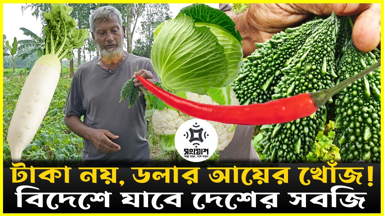 টাকা নয়, ডলার আয়ের স্বপ্ন! বাংলাদেশের সবজি যাবে বিদেশে