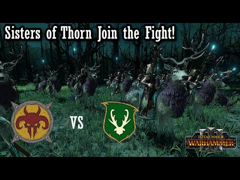Triple Sisters of the Thorn! Wood Elves Rejoice!