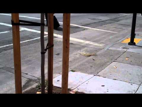 070914p1 SFGH   Sheriff   Kruger  DPH  Civil Standby Another HIPAA Violation?