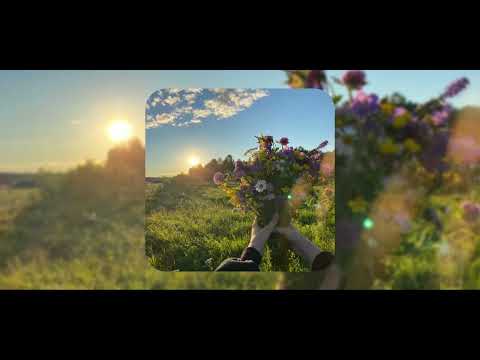 Песни с вайбом весна-лето