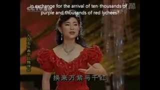 荔枝頌 / The Ode of Lychee