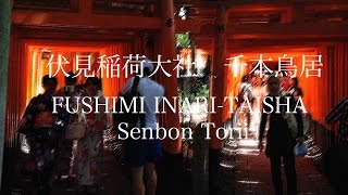 preview picture of video '伏見稲荷大社　千本鳥居　FUSHIMI INARI-TAISHA  Senbon Torii'