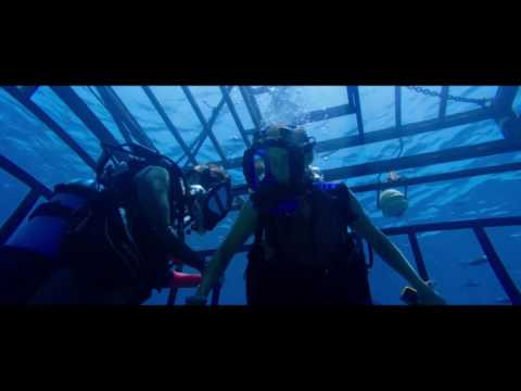 47 METERS DOWN Movie Clip   HD Camera 2017 1080p Mandy Moore
