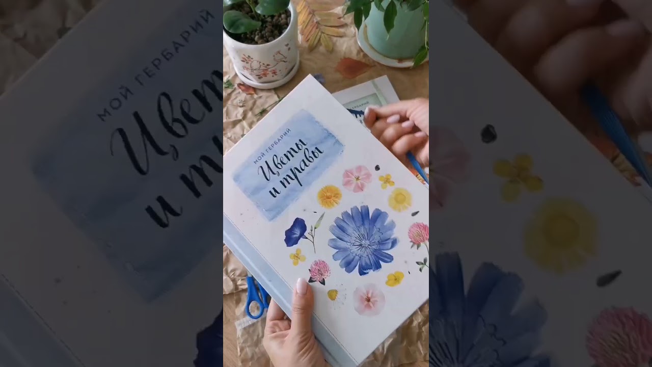 Мой гербарий. Цветы и травы