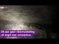 Geen vleermuizentelling door kans op coronabesmetting van mens op dier